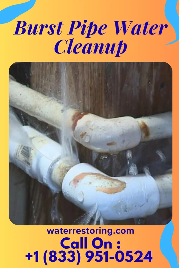 Burst Pipe Water Cleanup in Secaucus, NJ