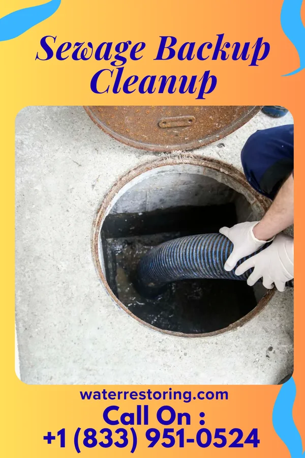 Sewage Backup Cleanup in Secaucus, NJ