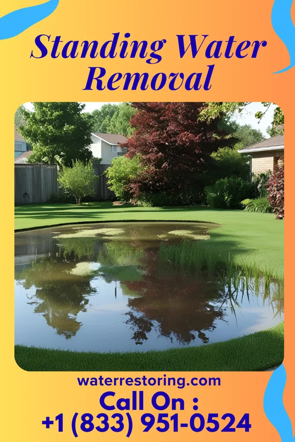 Standing Water Removal in Secaucus, NJ